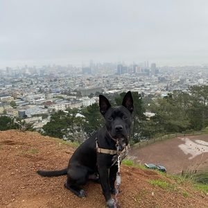 Meet your Posher, Timothy